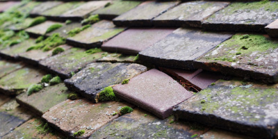 Lambourn roof repair costs